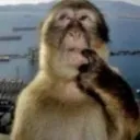 smokeyfn1