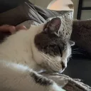 .got.taken.