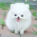 jess_04766