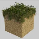 blenderhip_93440