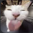 realdilucfromrblx avatar