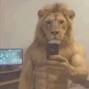 nekoks2