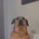 spartake1234