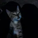 coolxdr. avatar