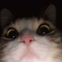 rezo_ez