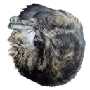 cats1337