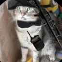 camaroneto_45715 avatar