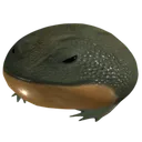 jimthepoopy