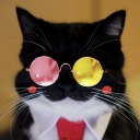 avatar PunishedQuail