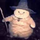 mielfr
