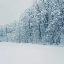 _.snowstorm._ avatar