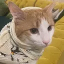 ahhellnah0086 avatar