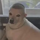 ianxsxi