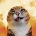 lolquemal_17xd