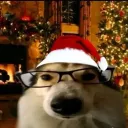 Аватар hdbdhd789