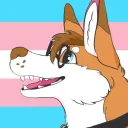 jammingwaydog