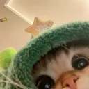 lsxnn