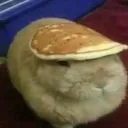 linhlon_55247 avatar