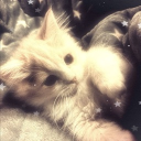 avatar Sunny ⋆.˚💛⋆