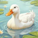 rootatlinux