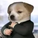 perrito_fino0213 avatar