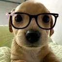 realarko