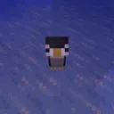 ducko11_