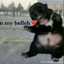 h4kpy_86129_38414 avatar