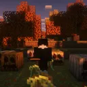 micah_6743