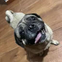 moises_1202_58214 avatar