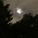 alejoo930_
