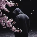 _nightveil_