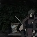 beastboyislegend56