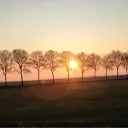 justbjarne02