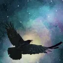 blackbird_fly