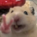 lcaamii