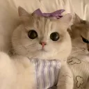 miillieess