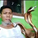 klorbus