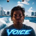 voice._0_