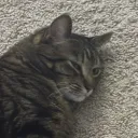 kittxn._