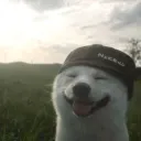 raiderfxx