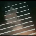 b1kesontop