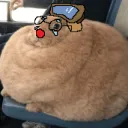 whatsvr