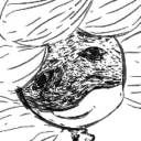 sillyaetho