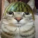 burger.manishere avatar