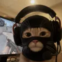 potatorevx_