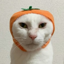 avatar asfsdasfgdssf