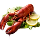 sum_random.1 avatar