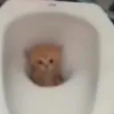 ff_ff_ff_ff