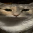 troitomazz
